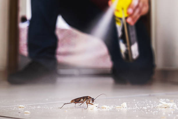 Reliable Oak Park, IL Pest Control Solutions